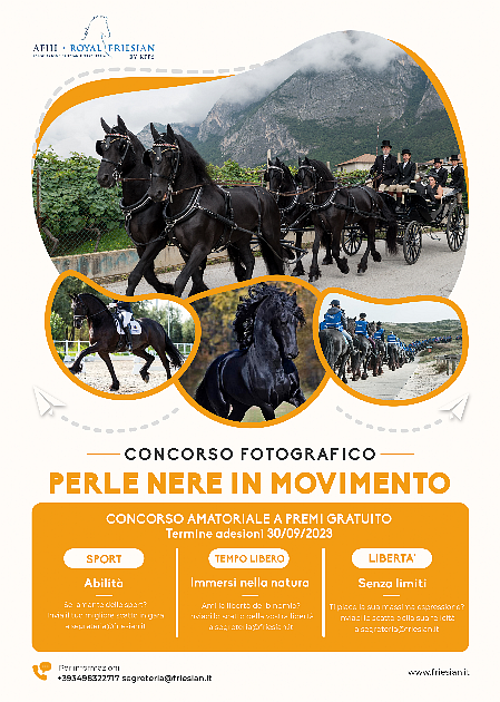 concorso fotografico